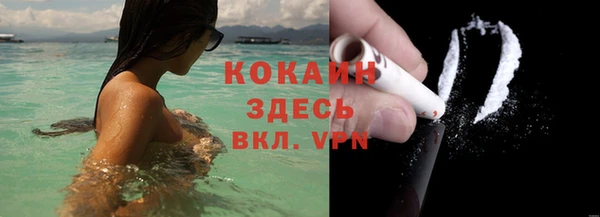 ГАЛЛЮЦИНОГЕННЫЕ ГРИБЫ Кулебаки