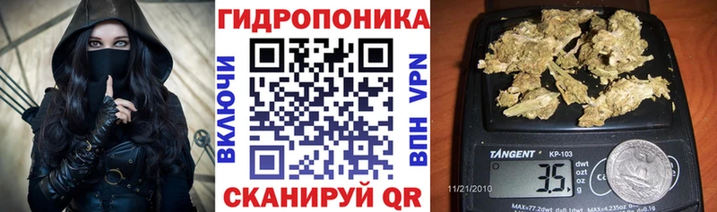 как найти   Лаишево  Шишки марихуана Ganja 